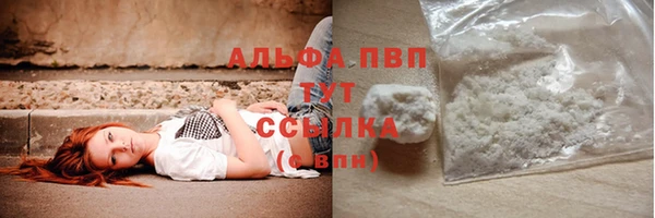 СК Елизово