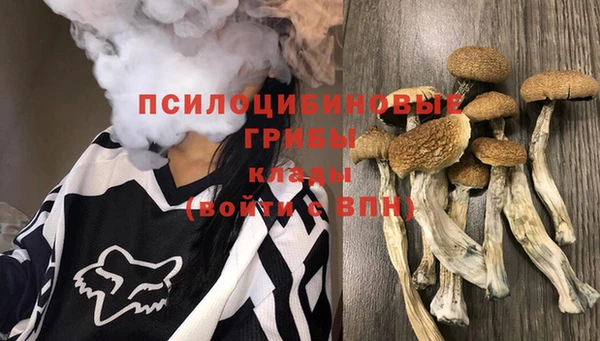 амфетамин Ельня