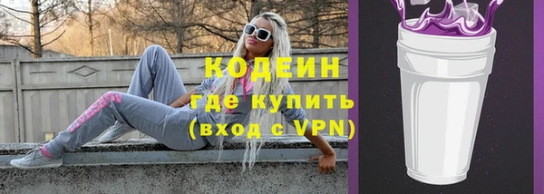СК Елизово