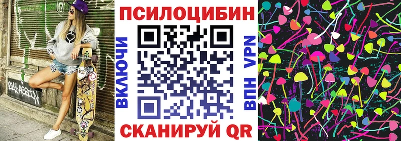 OMG как зайти  Елизово  Псилоцибиновые грибы прущие грибы  купить закладку 